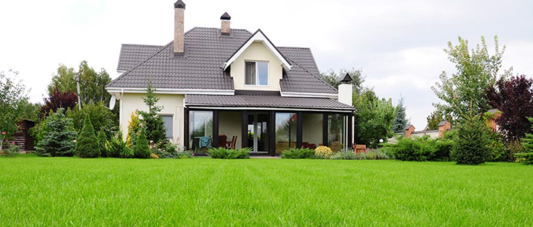 5 Tips For The Perfect Lawn