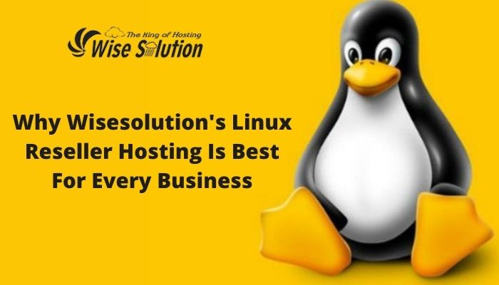 Why Wisesolution's Linux Reseller Hosting become First Preference for Every Business